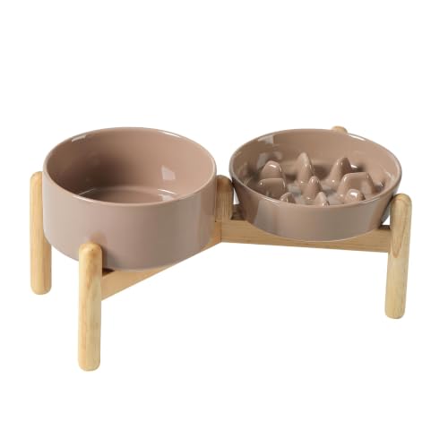 Elevated Slow Feeder Dog Bowls (Brown Coffee)