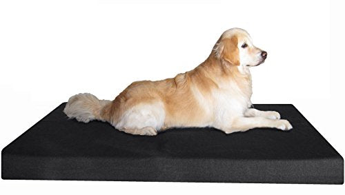 Jumbo Orthopedic Gel Memory Foam Dog Bed (JUMBO 55" Length X 47" Width / Canvas in Black)