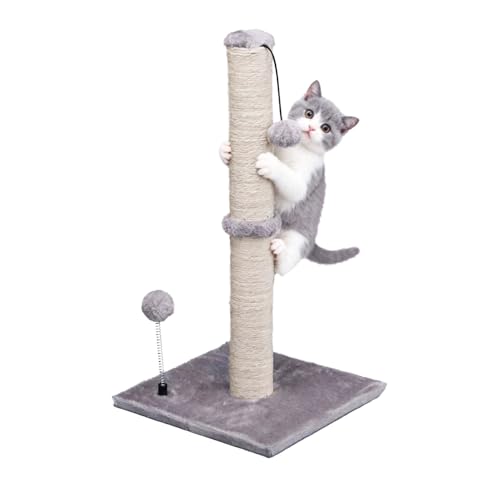 Cat Scratching Post Premium Basics Kitten Scratcher Sisal Scratch Posts with Hanging Ball 22" for Kittens or Smaller Cats (22 inches for kitten / Gray)