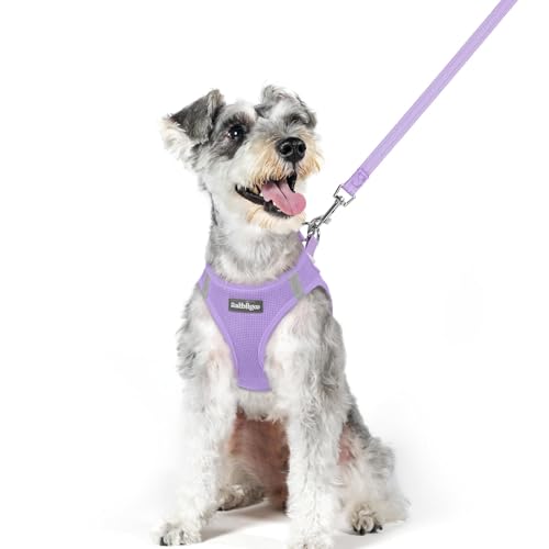 Dog Harness Medium Sized and Leash Set (Light Purple / Xl (chest: 20 - 21.8"))