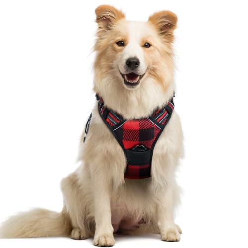 Dog Harness No Pull Medium Sized with 2 Leash Clips (Medium / Red Plaid)