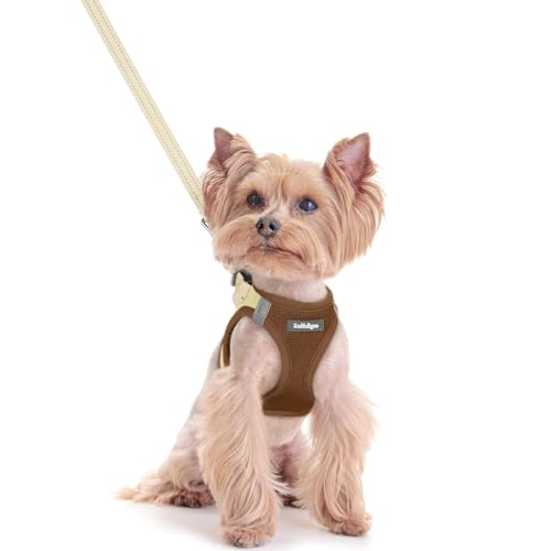 Dog Harness Small Sized and Leash Set (Brown & Beige / Xxs (chest: 12.4 - 14.2"))