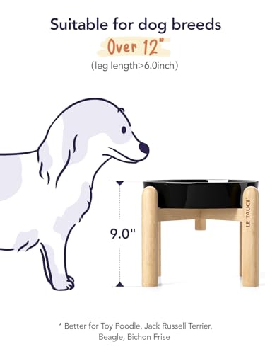 Ceramic Slow Feeder Dog Bowls Elevated (Skull Black+Stand / L-3 Cups)