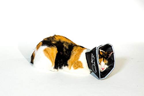 Comfy Cone Pet Cone for Dogs (Black / S(Neck to Nose 5.5"))