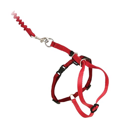 Come With Me Kitty Harness and Bungee Leash (Large (Pack of 1) / Red)
