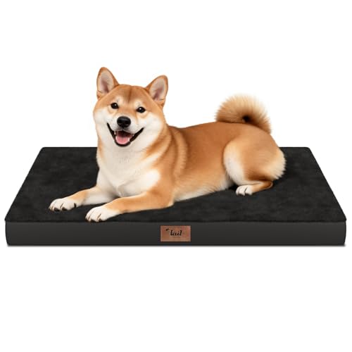 Outdoor Waterproof Orthopedic Dog Bed for Medium Size Dogs (Pure Black / 35.0"L x 22.0"W x 3.0"Th)