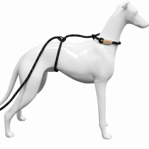 12ft No Pull No Choke Leash Long Rope Dog Leash (12 Ft / BLACK)
