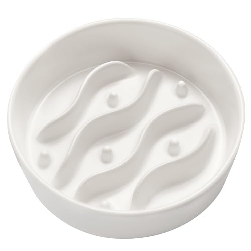 Ceramic Slow Feeder Dog Bowls for Small Dogs (White / 6 Inches)