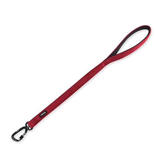Short Dog Leash 24" (Red / 24 Inches)