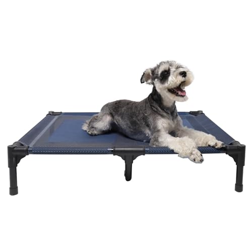 Elevated Dog Bed Waterproof Outdoor (M (30"Lx 23"Wx6.3"H) / Blue)