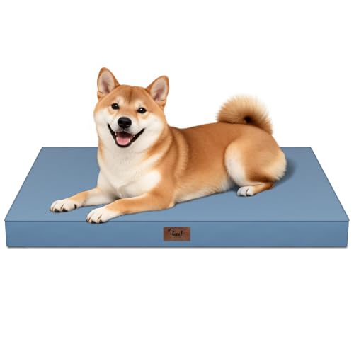 Outdoor Waterproof Orthopedic Dog Bed for Medium Size Dogs (Blue / 35.0"L x 22.0"W x 3.0"Th)