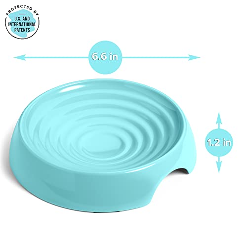 Cat Bowls Whisker Friendly Food Bowl for Indoor Cats (Dish - Set of Two / Aruba)