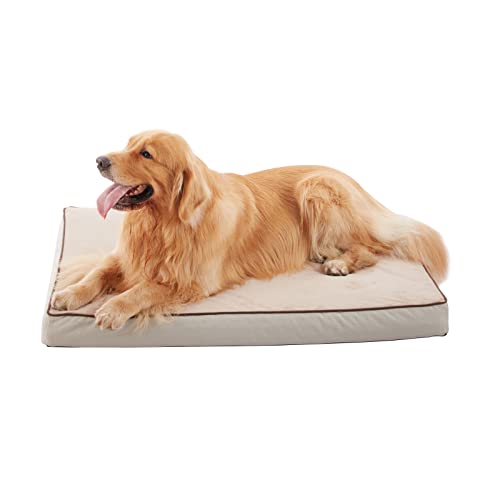 Orthopedic Memory Foam Dog Bed (Khaki Short Plush / Large-35"x 22" x 3")