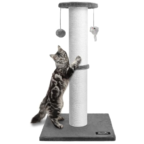 34 Inch Tall Cat Scratching Post for Large Cats (Gray)