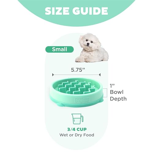 Fun Feeder Slo Bowl Dog Slow Feeder (Mint / Small)