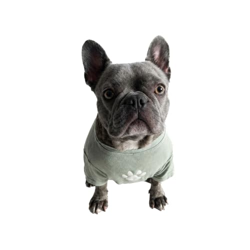 Dog Shirt Head of Security (Green / X-Small)