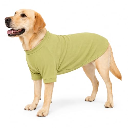 Ribbed Dog T Shirt Cotton Knitted Dog Sweaters for All Season Pet T (3XL (for Large Dog) / Chartreuse)