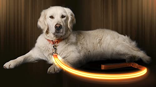 LED Light Up Dog Leash (4 Feet / Bright Orange)