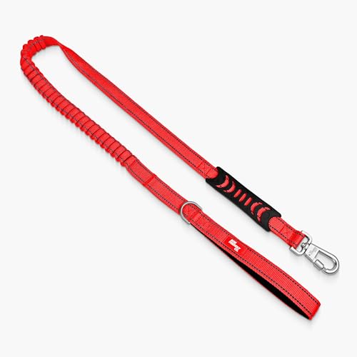 Bungee Dog Leash Shock Absorbing (Red / Small)