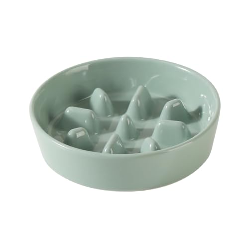 Ceramic Slow Feeder Dog Bowls (Light Green)