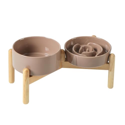 Elevated Slow Feeder Dog Bowls (Brown Coffee)