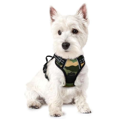 Dog Harness No Pull for Small Dogs with 2 Leash Clips (X-Small / Green Mountain)