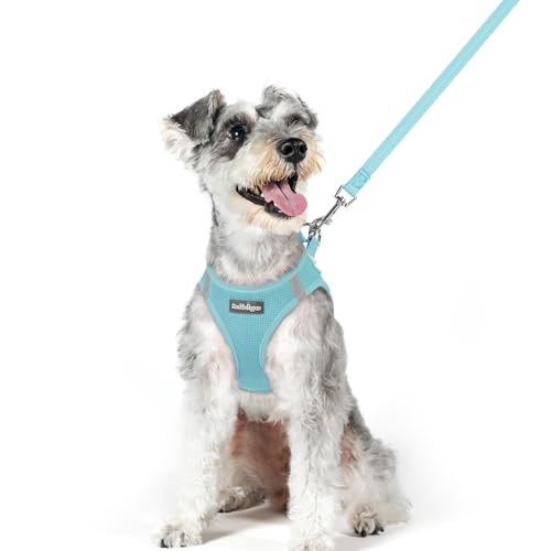 Dog Harness Medium Sized and Leash Set (Mint Blue / Xl (chest: 20 - 21.8"))