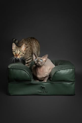 Small Dog Bed (Vegan Leather - Green / Small)