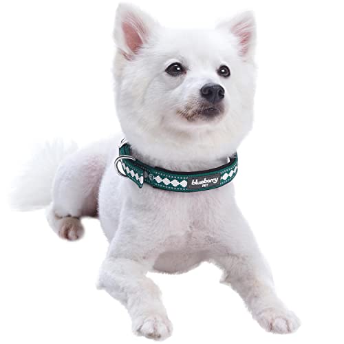 Reflective Jacquard Dog Collar with Neoprene Padding & Metal Buckle (Small / Metal Buckle-Teal Blue)