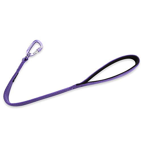 Short Dog Leash 24" (Ultra Violet / 24 Inches)