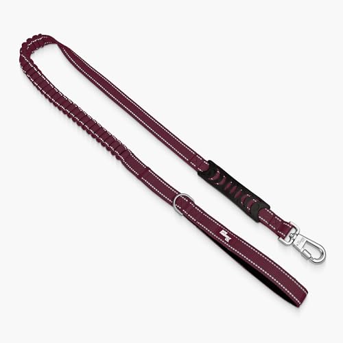 Bungee Dog Leash Shock Absorbing (Burgundy / Small)