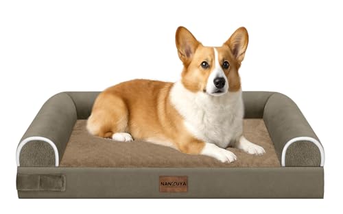 Orthopedic Dog Bed for Medium Dogs (Brown / 30.0"L x 20.0"W x 6.0"Th)