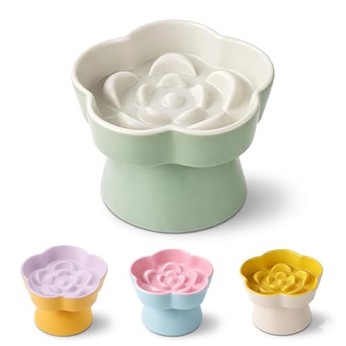 Ceramic Elevated Slow Feeder Cat Bowl (Green/Ivory)