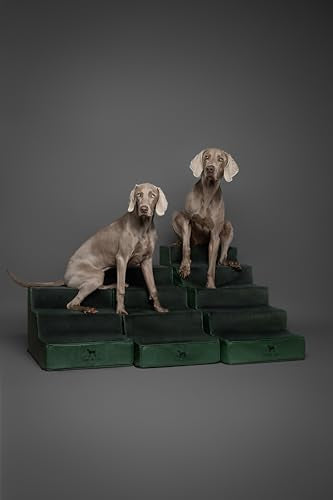 Dog Stairs Dog Ramp for Bed ((4 Step) Dark Green)