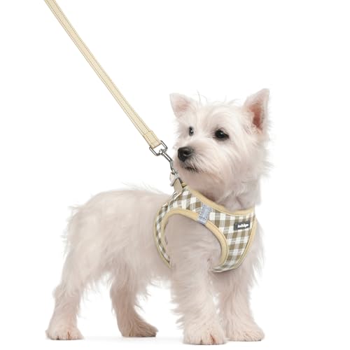 Dog Harness Small Sized and Leash Set (Beige Check / S (chest: 15.1 - 16.5"))