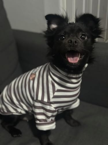 Turtleneck Dog Shirt Cute Doggie Embroidery Super Soft Dog Sweatshirt Stretchy Striped Puppy Pullover for Cats Small Medium Large Dogs (Black Striped / X-Small)