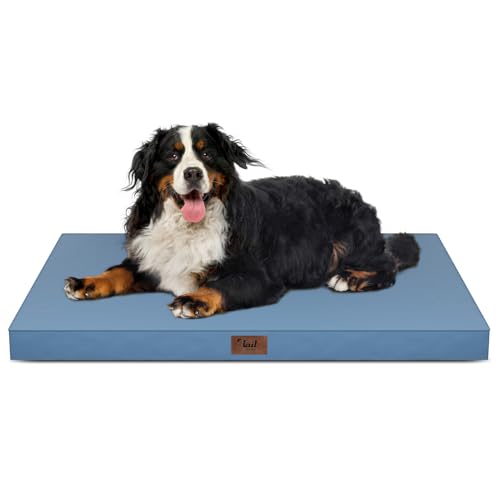 Outdoor Extra Large Dog Bed XXL for Giant Breed Dogs (Blue / 47.0"L x 29.0"W x 3.5"Th)
