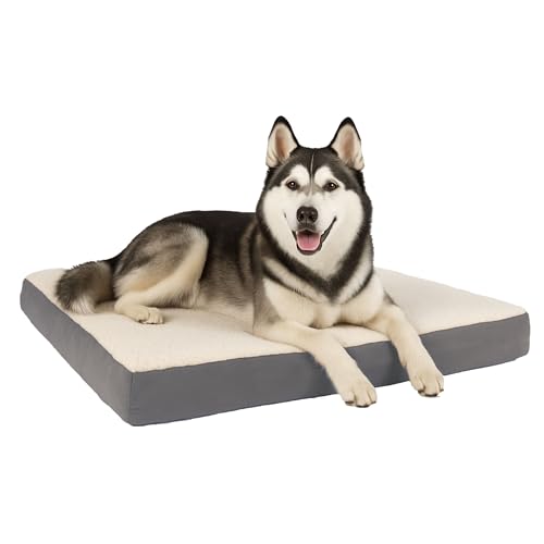 Orthopedic Dog Bed (Gray / X-Large)