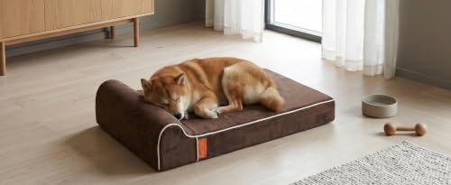 Orthopedic Memory Foam Extra Large Dog Bed with Pillow and Durable Water Proof Liner & Removable Washable Cover & Smart Design (40.0"L x 25.0"W x 5.5"Th / Chocolate)