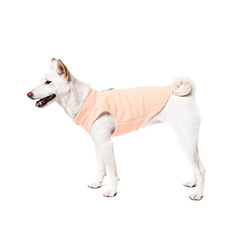 Fleece Vest Dog Sweater (Lime / Small (Around 6-lb))