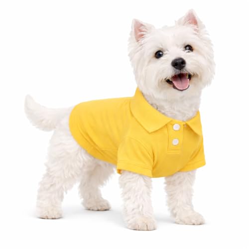 Basic Dog Polo Shirts Premium Cotton (S (-9lbs) / Yellow)
