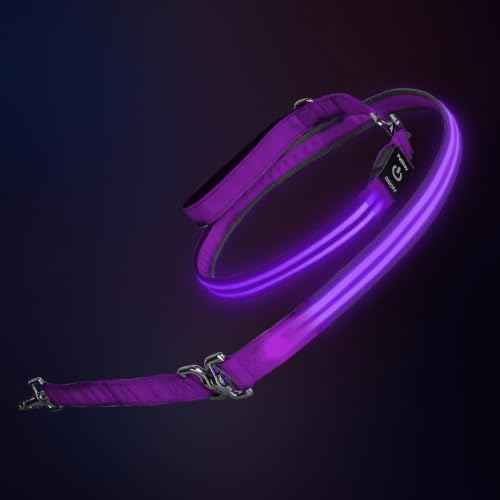 LED Dog Leash (Purple / 6 feet)