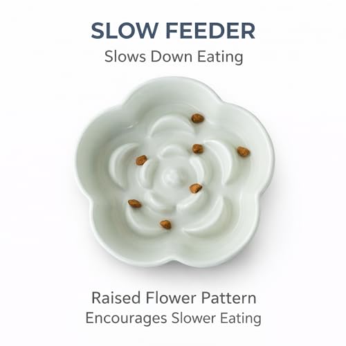 Ceramic Elevated Slow Feeder Cat Bowl (Green/Ivory)