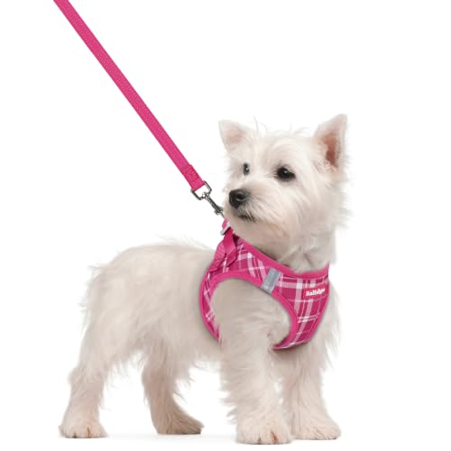 Dog Harness Small Sized and Leash Set (Rose Red Plaid / S (chest: 15.1 - 16.5"))