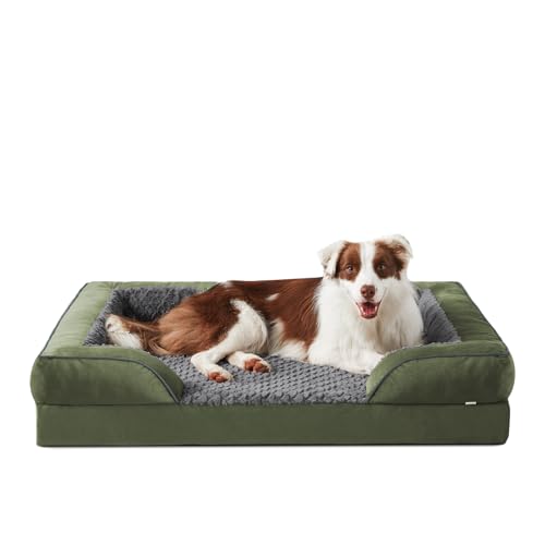 Orthopedic Dog Bed for Large Dogs (L (35"x 25"x 6.5") / Green)