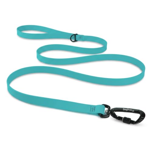 Essential Biothane Dog Leash (Seafoam Green / 3/4 In x 4 Feet)