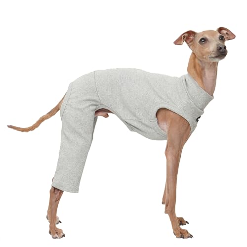 D Doggy Star Italian Greyhound Clothes High (2XL / COORDI GREY)