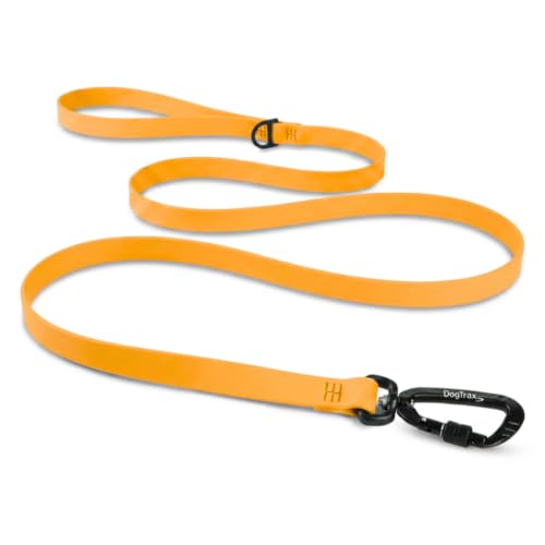 Essential Biothane Dog Leash (Orange Peach / 3/4 In x 5 Feet)