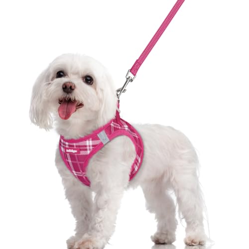 Dog Harness Medium Sized and Leash Set (Rose Red Plaid / M (chest: 16 - 18.5"))