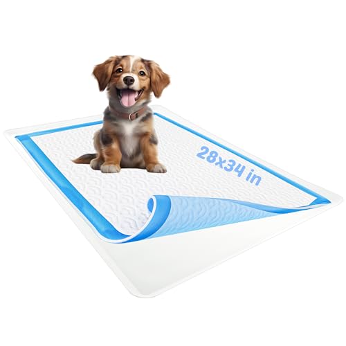 Dog Pee Pad Holder (White)